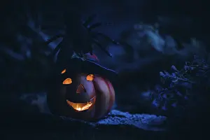 Dark Desert Landscape Drucke: Spider on a glowing pumpkin lantern