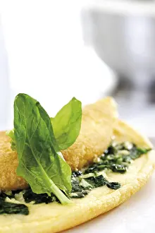 Vegetarian Egg Dish Drucke: Spinach omelet