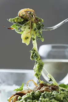 Food Photography Fork Drucke: Spinach spaetzle on a fork