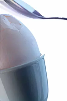 Studio Shot Of Eggs Drucke: Spoon is breaking the shell of an egg in an egg cup