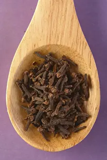 Wooden Spoon Drucke: Spoon with cloves