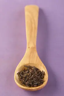 Wooden Cooking Spoon Drucke: Spoon with cloves