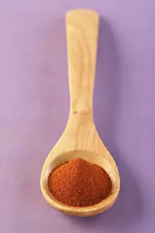 Spice Ingredients Drucke: Spoon with paprika