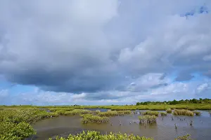 Black Point Wildlife Drive Drucke: Sprawling marsh under a cloudy sky
