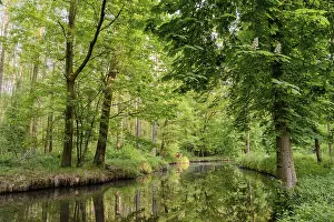 Natural Preserve Germany Drucke: Spreewald