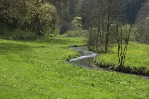 Central Europe Waterways Drucke: Spring in the AufseB valley