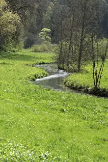 Deserted Rivers In Europe Drucke: Spring in the AufseB valley