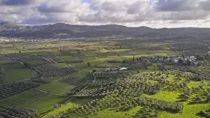 Spring In Greece Drucke: Spring in Crete, Askifou Plain