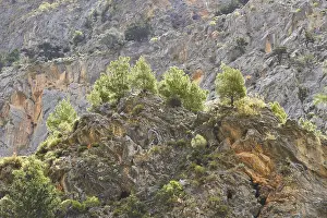 Greek Island Photography Drucke: Spring in Crete, backlight, rocks