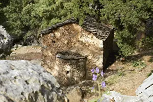 Samaria Gorge Landscape Drucke: Spring in Crete, morning light