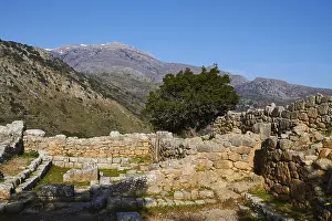 Spring In Greece Drucke: Spring in Crete, Plateau, Lassithi