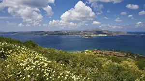 Blue Sky Greece Drucke: Spring in Crete, spring meadow