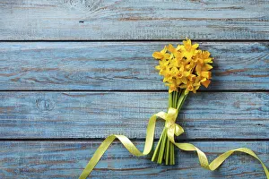 Spring Awakening Blooms Drucke: Spring daffodil flowers on blue rustic background