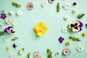 Green Background Drucke: Spring flowers circle round frame