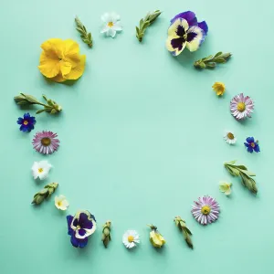 Minimalist Spring Flowers Drucke: Spring flowers circle round frame