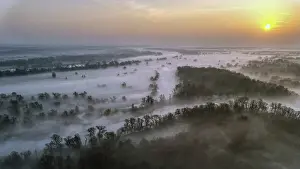 Wetland Landscape Europe Drucke: Spring fog, Germany from above