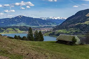 Bilder Datiert 4. April 2024: Frühlingsspaziergang auf dem Thaler.