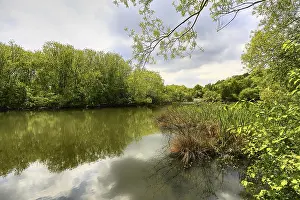 European Rural Scenery Drucke: Spring lake