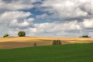 Central European Landscapes Drucke: Spring landscape in Bavaria
