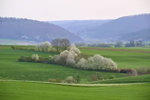 Central European Springtime Drucke: Spring landscape with green fields