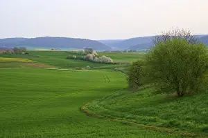 Southern Germany Countryside Scene Drucke: Spring landscape with green fields