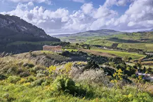 Greek Temple In Italy Drucke: Spring landscape with the temple of Segesta