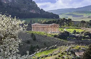 Ancient Civilization Photography Drucke: Spring landscape with the temple of Segesta