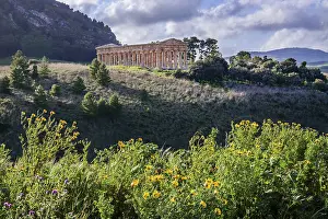 Temple Of Segesta Drucke: Spring landscape with the temple of Segesta