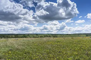 Cloudy Skies Drucke: Spring meadow with clouds floating over it