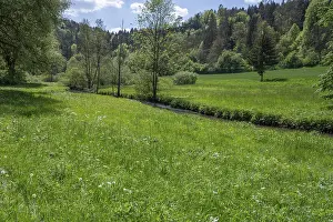 Central Europe Springtime Photos Drucke: Spring meadow with river course in AuseBtal