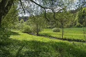 European River Landscapes Drucke: Spring meadow with river course in AuseBtal