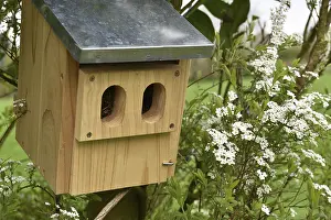 Ecofriendly Nesting Aid Drucke: Spring nesting box, Germany