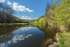 Overcast Sky Reflections Drucke: Spring on the river Saale, green forest and clouds are reflected