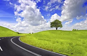 Deserted Highway Drucke: Spring road