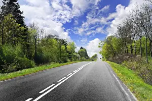 Deserted Countryside Drucke: Spring road
