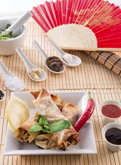 Vegetarian Spring Rolls Drucke: Spring roll