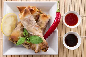 Thai Cuisine Drucke: Spring roll