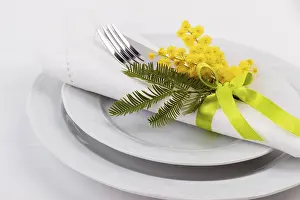 Gastronomy Meal Setup Drucke: Spring table setting with mimosa