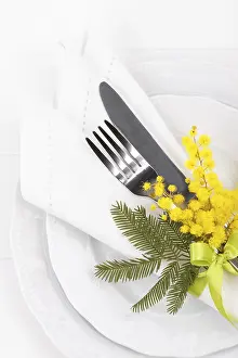 Gastronomy Celebration Drucke: Spring table setting with mimosa easter holidays dinner