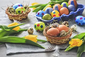 Traditional Easter Decoration Drucke: Spring time - Easter eggs and tulips on grey background