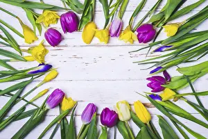 Pastel Colored Flowers Drucke: Spring white floral background