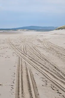 Uninhabited Beaches Drucke: Spurrs at the empty beach in the sun