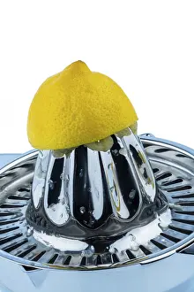 White Background Isolated Drucke: A squeezed lemon on a white background