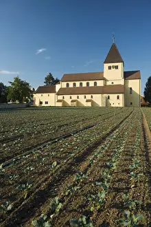 Lake Constance Scenery Drucke: St. George and vegetable fields