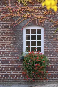 Drucke von Stabiler Fenster Bauernhaus-Architektur Drucke: Stabiler Fenster
