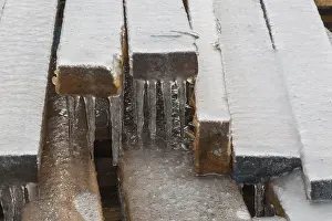 Quebec Province Winter Scene Drucke: Stack of 2 x 4 pieces of lumber covered in ice