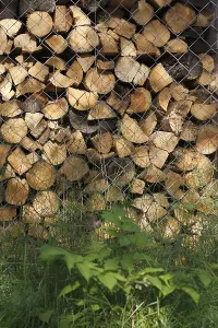 Stack Of Wood Drucke: Stack of firewood as background