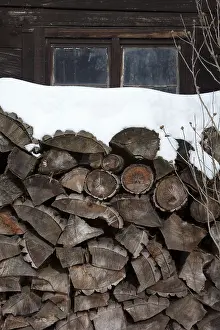 German Farmhouse Architecture Drucke: Stack of firewood in front of a hut in the Spreewald forest