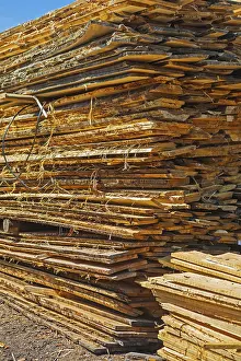Deserted Forest Scene Drucke: Stack of rough wooden boards
