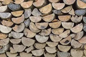 Wood Stacked High Drucke: A stack of split wood